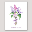 Watercolor print of a lilac bunch tied with a purple bow for Mackinac Island.